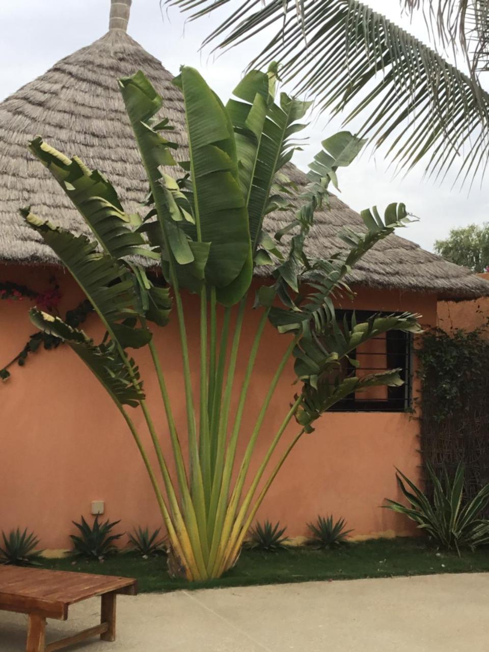 מבור Terra Lodge Senegal מראה חיצוני תמונה
