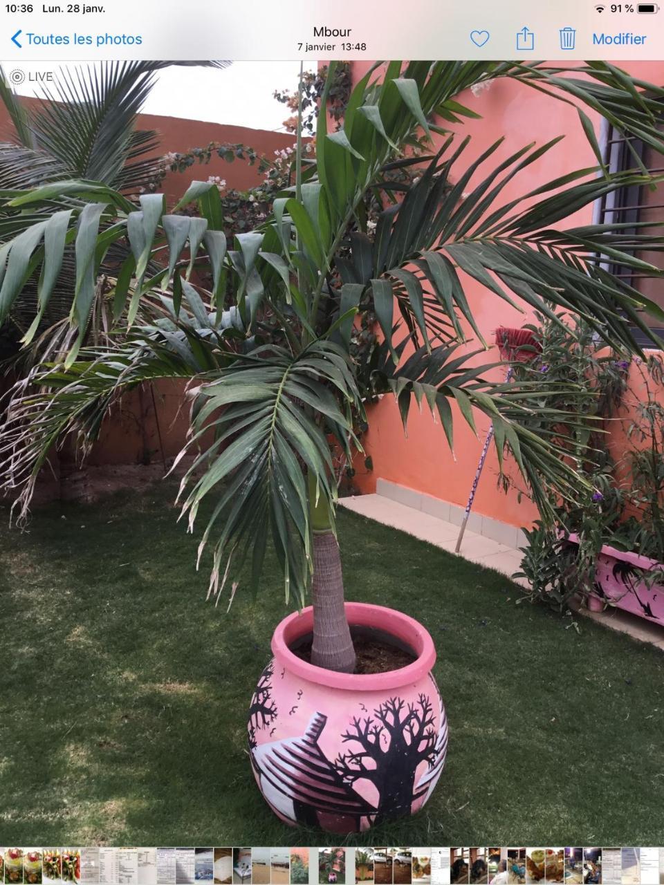 מבור Terra Lodge Senegal מראה חיצוני תמונה