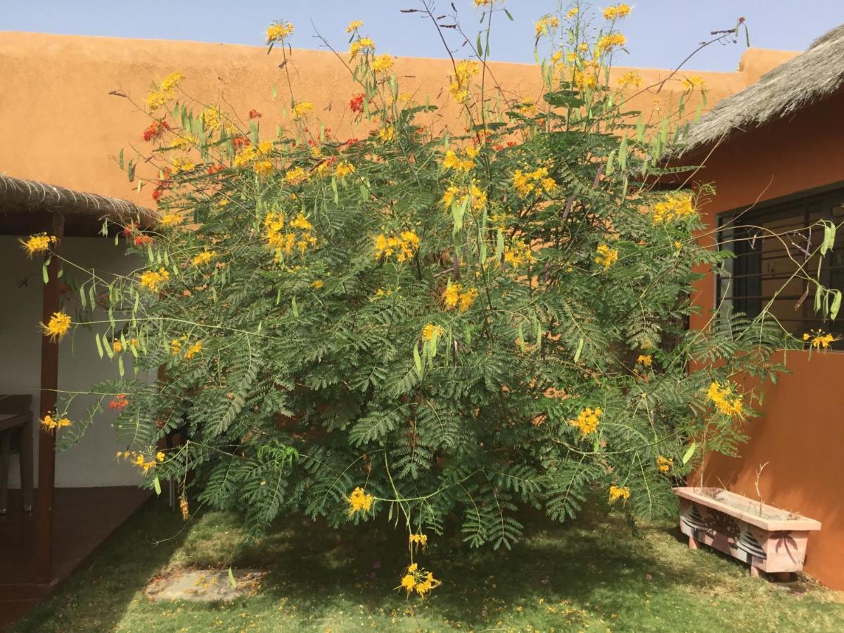 מבור Terra Lodge Senegal מראה חיצוני תמונה